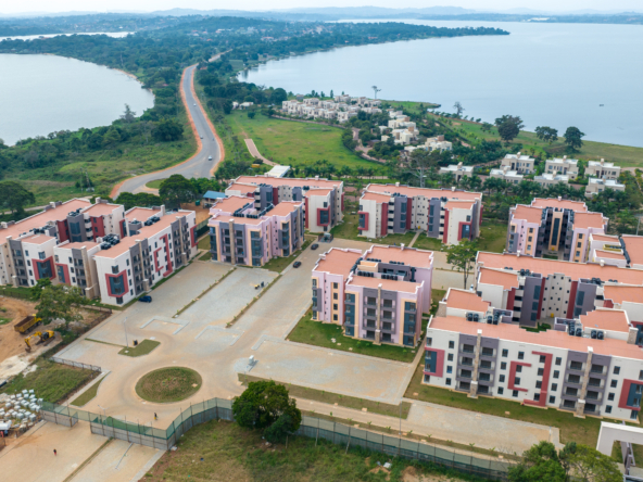 Overview
