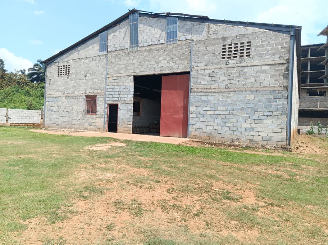 011baca3-7e57-42b4-9979-dadc169bfa74