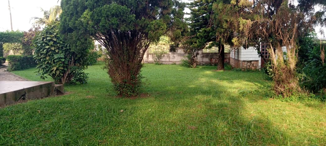 0ea06197-45c0-41b2-8585-4ec53987ec09