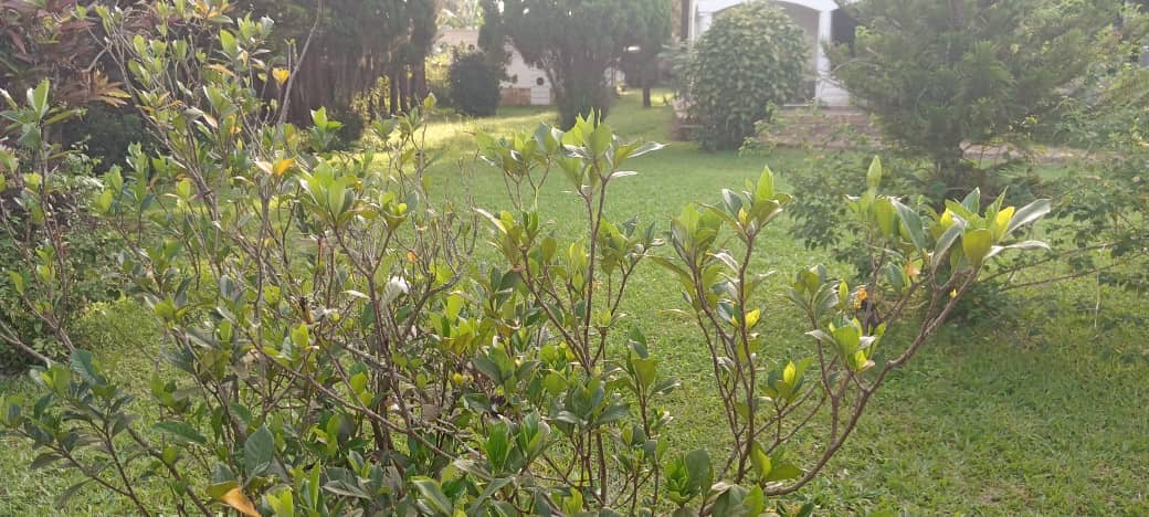 5d1f2aab-d8ed-4c45-b38d-17ca5d490e67