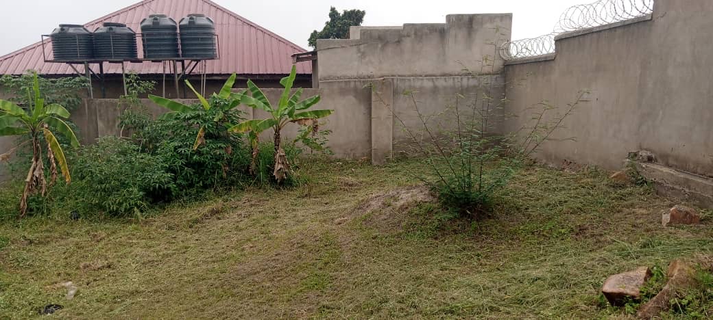 617145fe-4c4b-4fda-b05a-944f55fe5bc0