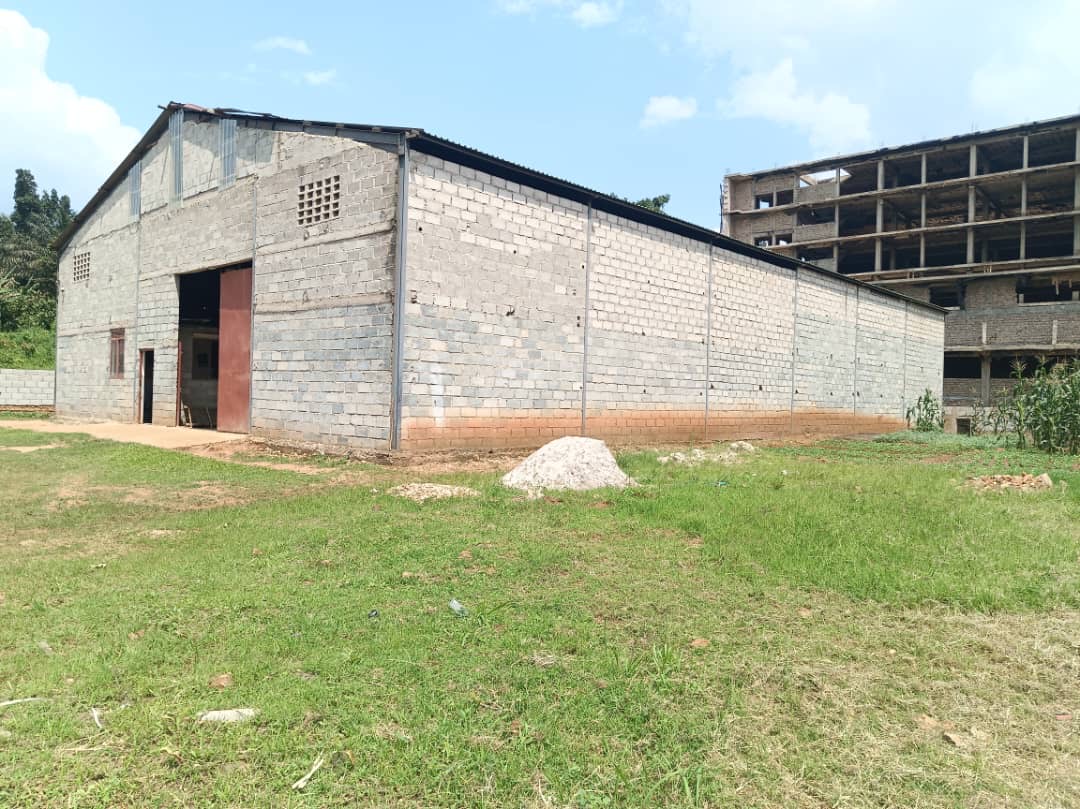 7321807c-de3b-438f-9716-eba80f59ba36