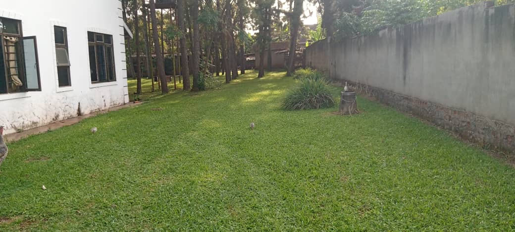 7c002c3d-1e18-46a4-877d-e86b9ca033f7