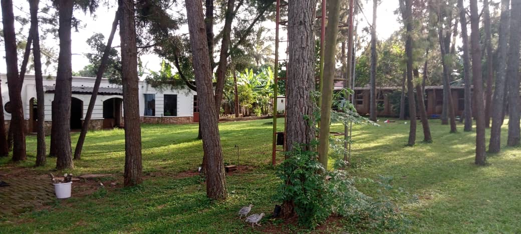 882fad70-ce17-4e21-a137-42407046e9b9