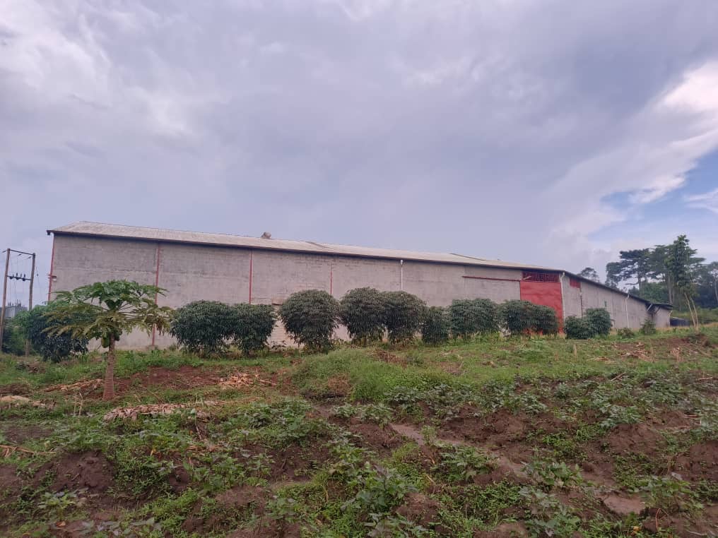 92d9e437-b47e-4951-a99b-fb5d21321602