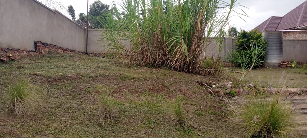 a5a061e4-5301-4188-a365-ebf8d8c92b78