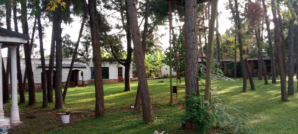 a9790c1f-1b19-46d0-9f99-fd9815c5eb90