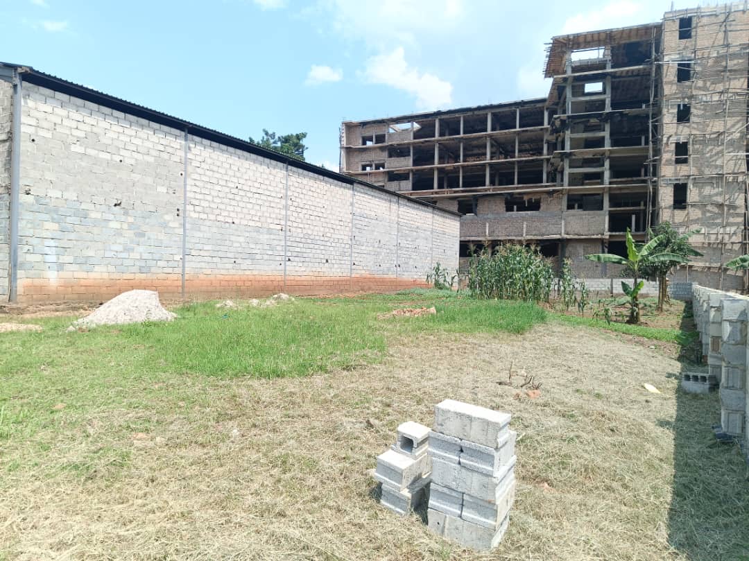 bfdeea9f-5aeb-4bba-bbcf-14c22e4519ad