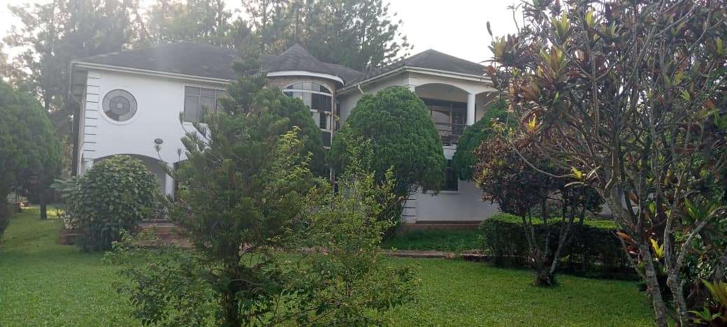 f218f585-e20f-4a0d-8848-fb88b63ab242