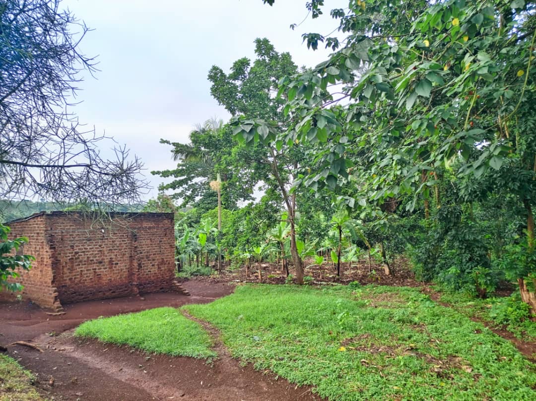 c45c205a-4383-4703-bebc-c2e82bcd26ba